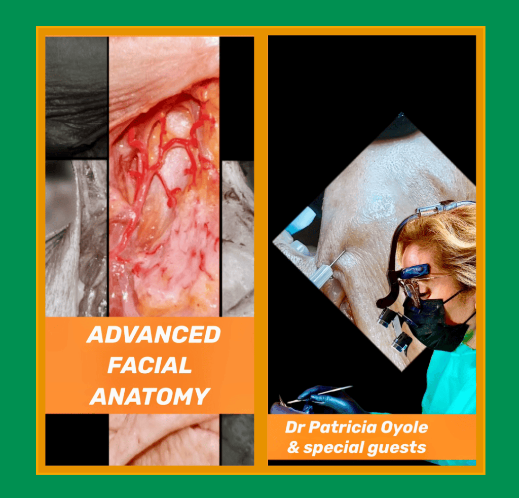 Advanced Facial Anatomy hands-on cadaver lab course flyer