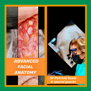 ADVANCED FACIAL ANATOMY - 3 days Intensive Hands-On Cadaver Lab Course