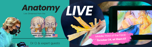 Anatomy LIVE: Middle Third of the Face banner