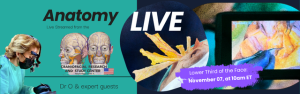 Anatomy LIVE: Lower Third of the Face