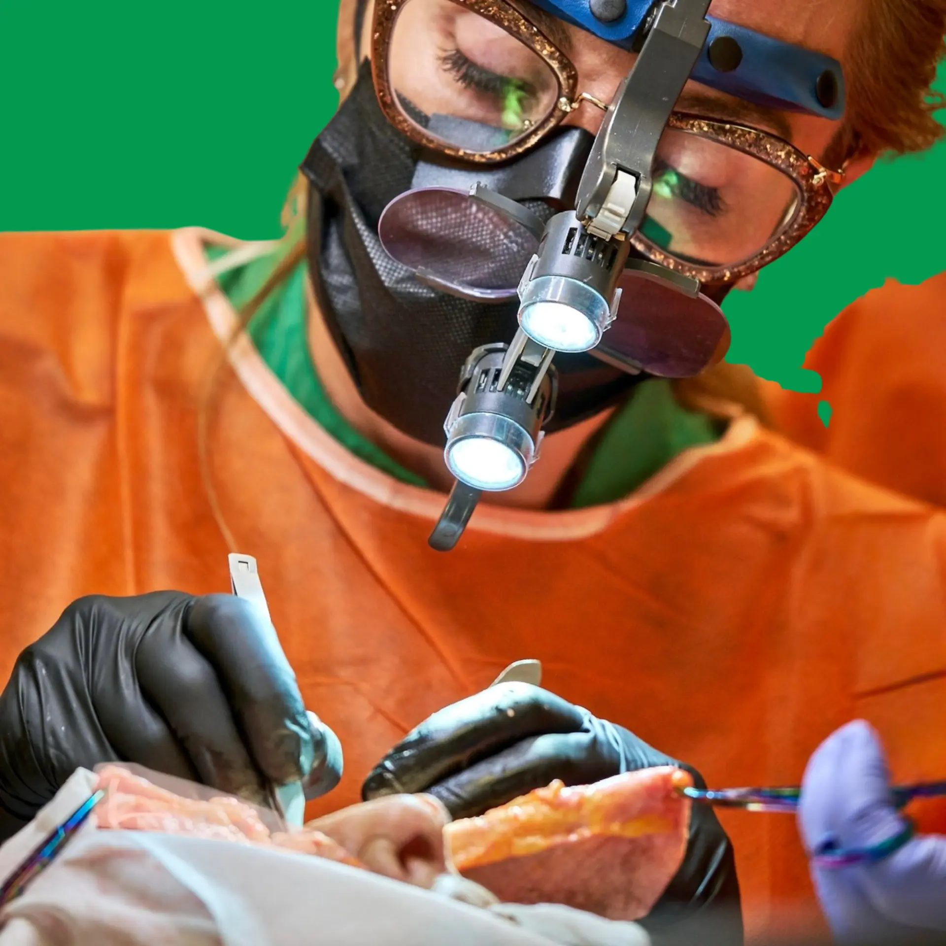 Dr Oyole performing a dissection on a Cephalospec specimen